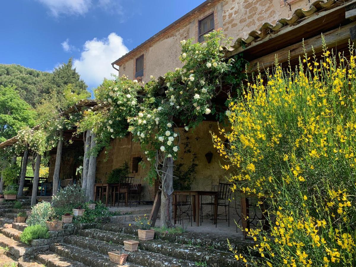 Agriturismo Locanda Settimo Cielo Lubriano Экстерьер фото