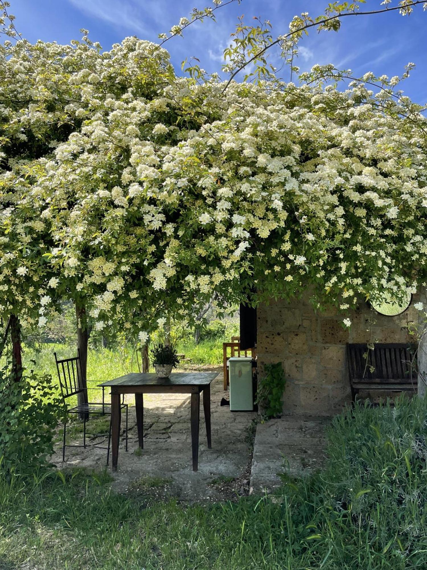 Agriturismo Locanda Settimo Cielo Lubriano Экстерьер фото