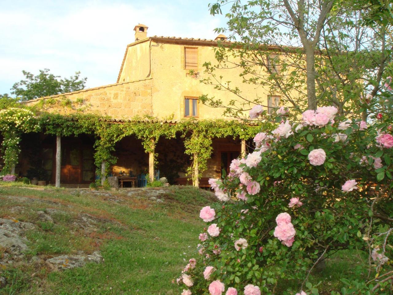 Agriturismo Locanda Settimo Cielo Lubriano Экстерьер фото